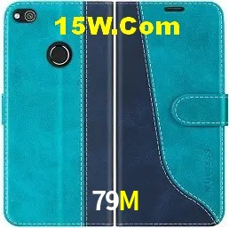 Login Seguro 79M